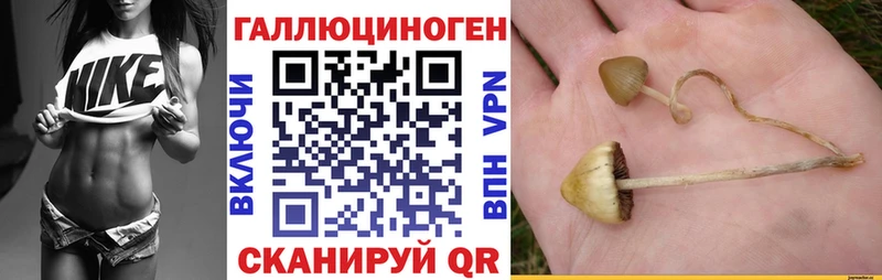 наркота  Пятигорск  Псилоцибиновые грибы мицелий 
