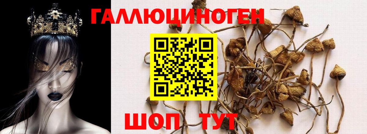 Пятигорск  Псилоцибиновые грибы прущие грибы  Вход с VPN  Галлюциногенные грибы Magic Shrooms 