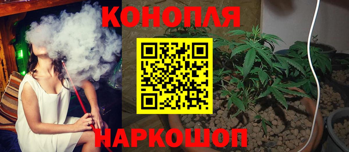 Шишки марихуана OG Kush Пятигорск